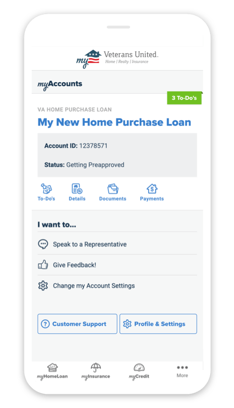 Screenshot of the app overview screen showing a loan overview.
